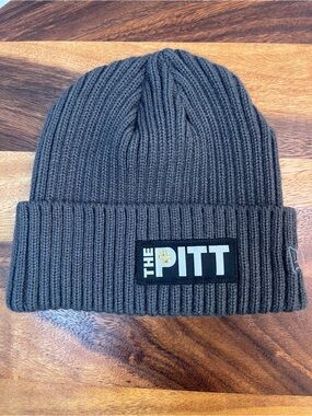 The Pitt Men's Knit Beanie - Gray